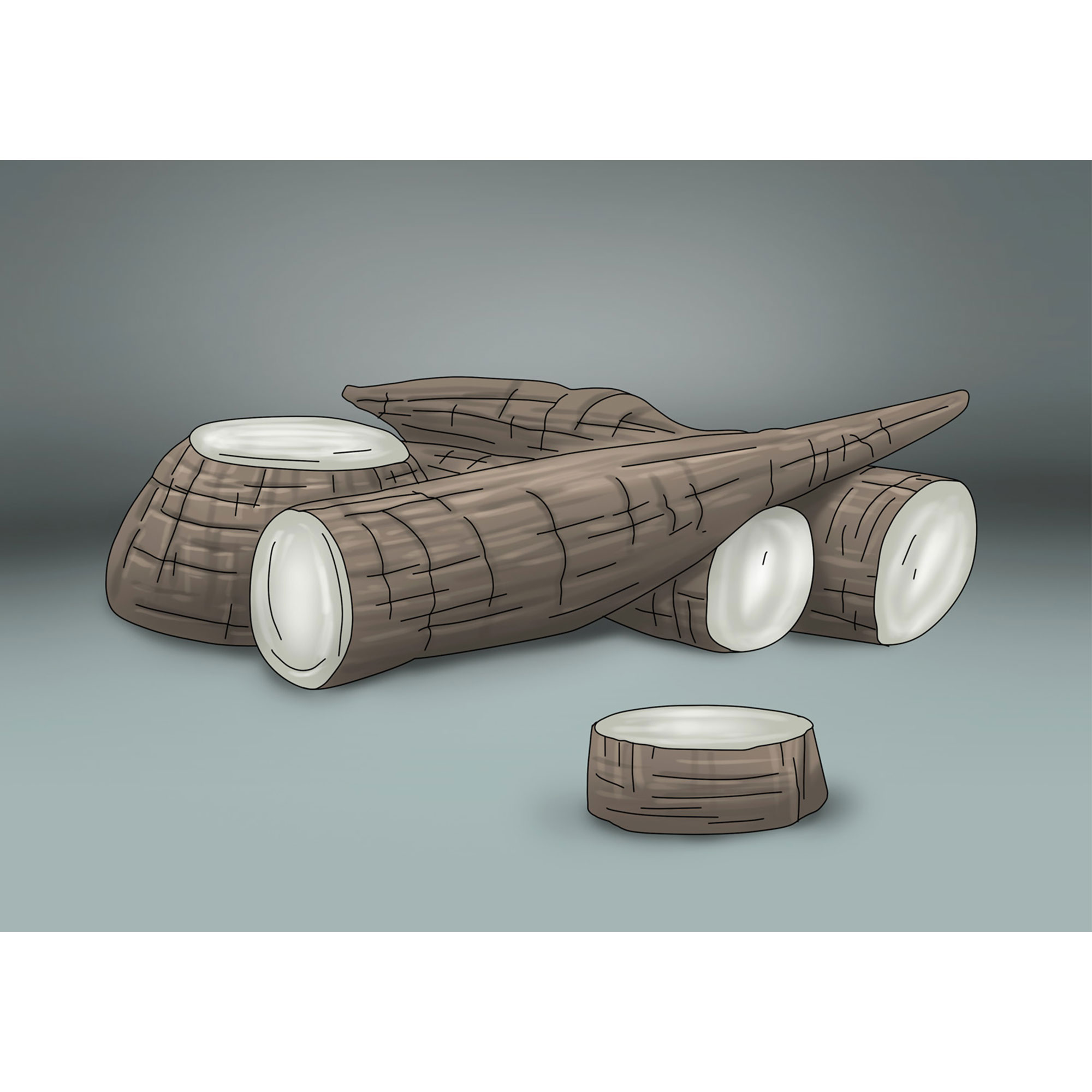 Ilustração Didáticas para livros, manuais e cartilhas