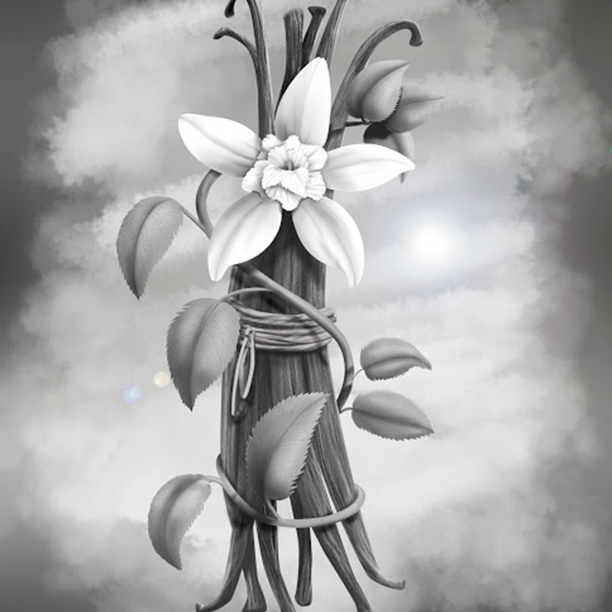 Ilustração Para  Livros